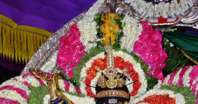 பங்குனிப் பெருவிழா  - 12