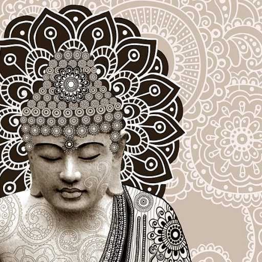 #14 - Landing On Tree Tops