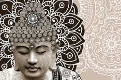 #14 - Landing on tree tops