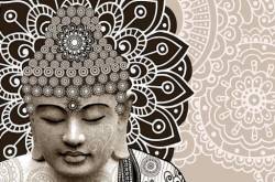 #15 - My - oh - Myomectomy (Part 1)