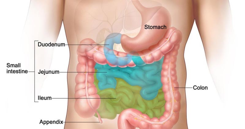 न्यूरोएंडोक्राइन ट्यूमर: लक्षण, सावधानी और उपचार - Neuroendocrine Tumors Diagnosis And Treatment In Hindi