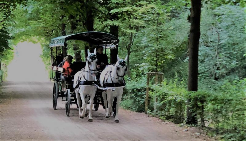 Desi Traveler Digest June 2018 Summer Special