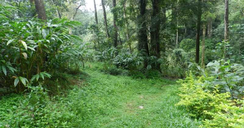  मुनिक - जर्मनी  - 2