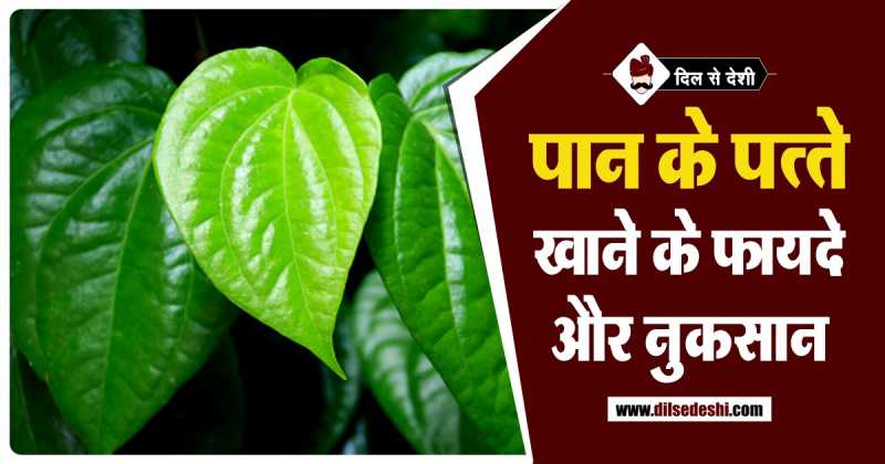 पान के पत्ते 20 अद्भुत फायदे | Paan Ke Patte Ke Fayde In Hindi