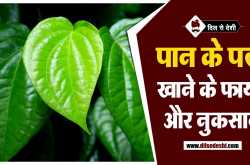 पान के पत्ते 20 अद्भुत फायदे | Paan Ke Patte ke Fayde in Hindi
