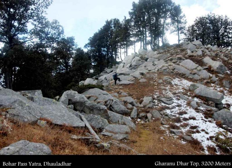 बोहार पास यात्रा - बोह से राख (2013)