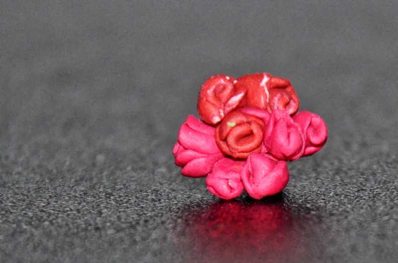 ரித்துவின் விடுமுறை.. அக். 2013