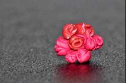 ரித்துவின் விடுமுறை.. அக். 2013