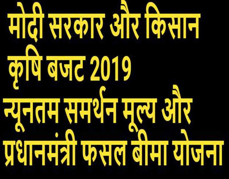 कृषि बजट 2019: मोदी सरकार किसानों के लिए क्या कर रही है ?