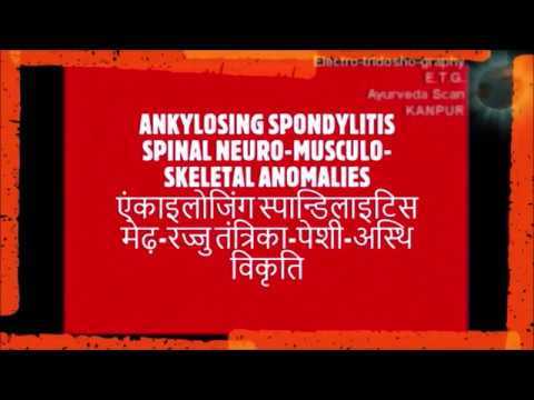 फरवरी 2019 के कुछ वीडियो