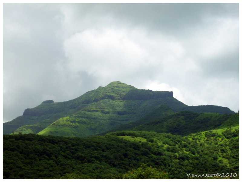 ` लिमिटेड माणुसकी ` | अनाकलनीय