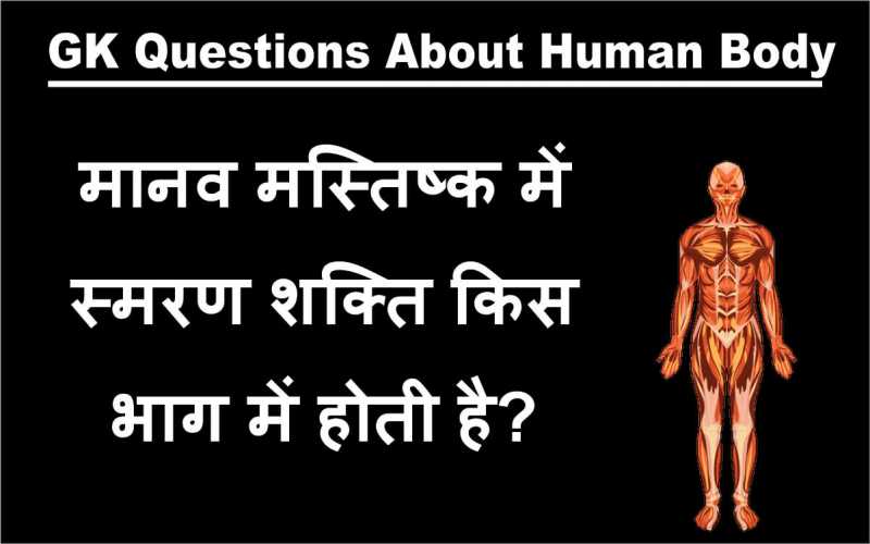 एग्जाम में बार बार पूछे जाते हैं मानव शरीर से जुड़े ये 26 सवाल ( SSC, Railway, Bank) | Everything Tricky  
