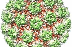 à¤¸à¤°à¥à¤µà¤¾à¤à¤à¤² à¤à¥à¤à¤¸à¤° â à¤à¥à¤ à¤¤à¤¥à¥à¤¯ #3 à¤²à¤à¥à¤·à¤£