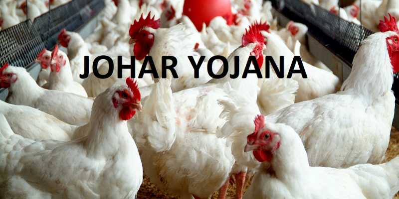 झारखंड जोहार योजना :पोल्ट्री फार्म के लिए पाए 4 लाख का ऋण [2019 ऑनलाइन आवेदन]