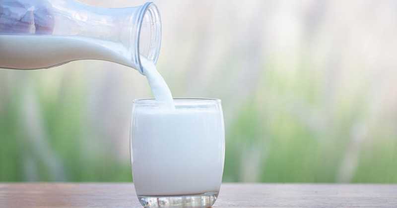 दुधियों से 46 रुपए में खरीद कर उपभोक्ताओं को 40 रुपए प्रति लीटर में दूध मिलेगा