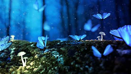 “મેં જોયા છે”5 Min Read