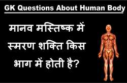 एग्जाम में बार बार पूछे जाते हैं मानव शरीर से जुड़े ये 60 सवाल ( SSC, Railway, Bank) | Everything Tricky  