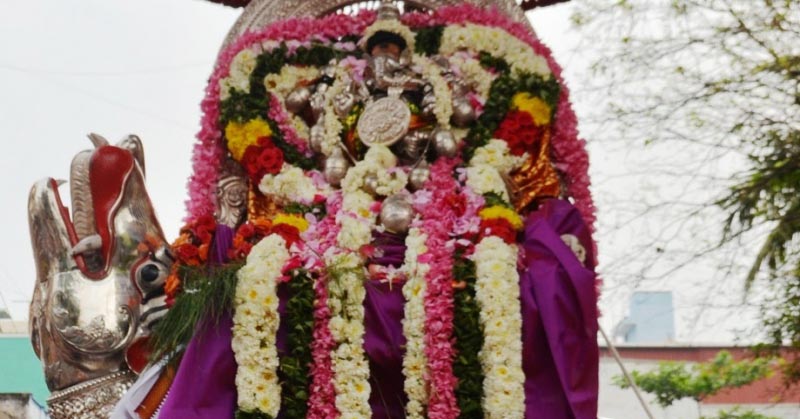 பங்குனிப் பெருவிழா  - 7