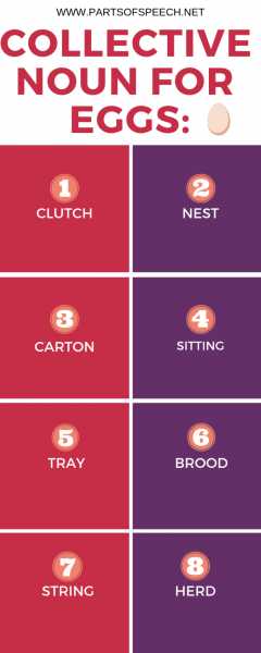 (8+7) Collective Noun For Eggs And Bees - PARTS OF SPEECH