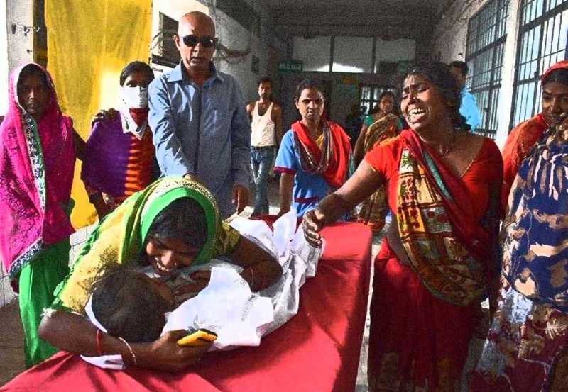 à®ªà¯à®à®¾à®°à¯ : à®µà¯à®ªà¯à®ªà®¤à¯à®¤à®¾à®²à¯ à®à®¤à®¿à®µà¯à®à®®à®¾à®à®ªà¯ à®ªà®°à®µà¯à®®à¯ à®®à¯à®³à¯à®à¯ à®à®¾à®¯à¯à®à¯à®à®²à¯ - 80 à®ªà¯à®°à¯ à®ªà®²à®¿ ! | Vinavu