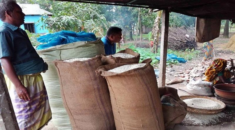 মুড়ি ও চিড়া তৈরি ব্যবসা কিভাবে শুরু করবেন – Ajkerkrishi.com আজকের কৃষি -প্রজন্মের ই কৃষি। Improving Agriculture, Gardening, Agribusiness Insurance