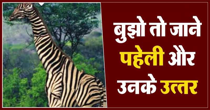 बूझो तो जाने पहेली क्र. 86,88 का उत्तर | Logical And Common Sense Question In Hindi With Answer | Dil Se Deshi