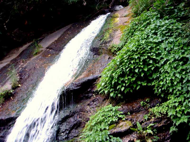 क्या भूलूँ, क्या याद करूँ...A Reminiscence... - The Style Symphony