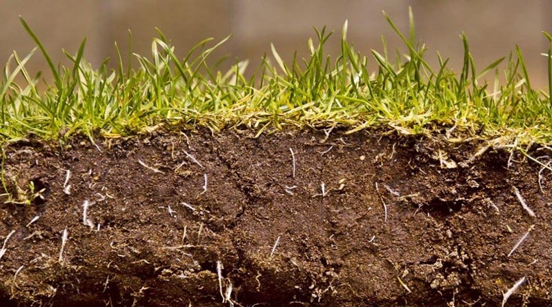 মাটি কাকে বলে এবং মাটির বৈশিষ্ট্য Ajkerkrishi.com আজকের কৃষি -প্রজন্মের ই কৃষি। Improving Agriculture, Gardening, Agribusiness Insurance