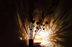 “All the beauty of life is made up of light and shadow” Leo Tolstoy