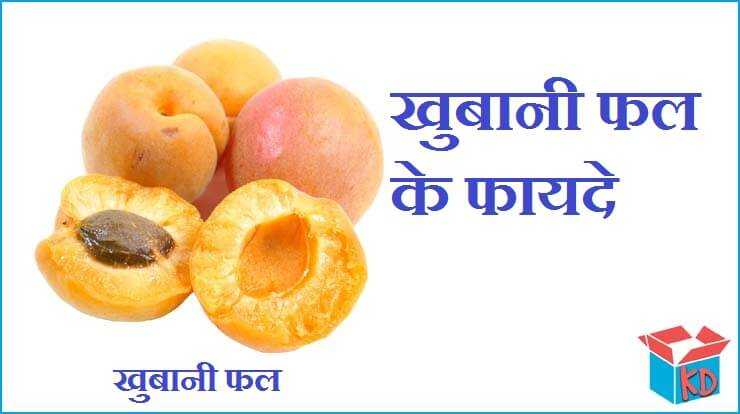 खुबानी फल के फायदे और नुकसान Apricot Fruit In Hindi - Knowledge Dabba