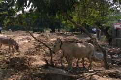 (Ass)essment Time for Delhi #lifewithlumia