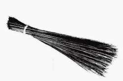 “Aunty” Income-ben-see and the other Aunties!