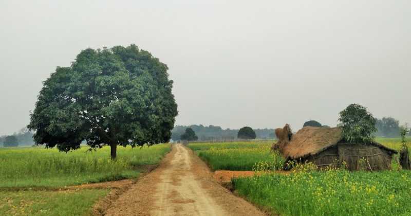 यादें सुहेलवा की : जब हम जा पहुँचे एक नेपाली गाँव में Birding Trip To Suhelwa, Uttar Pradesh
