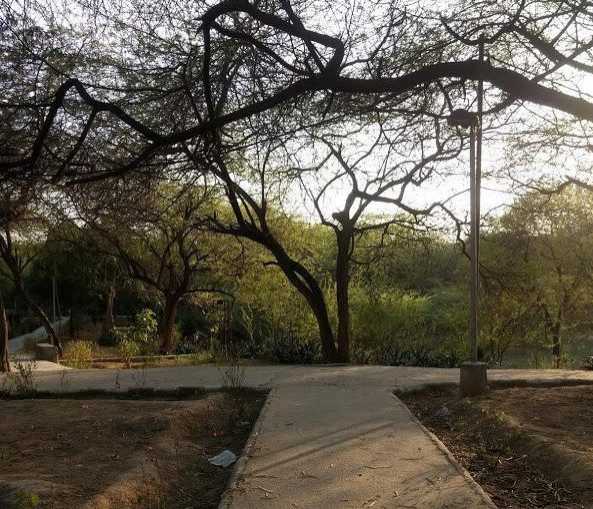 (C)hoices #AtoZChallenge | Expressions!