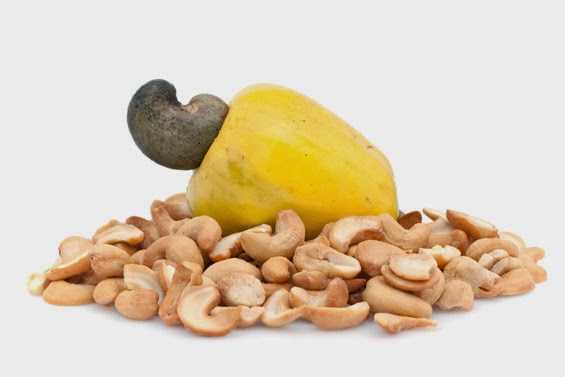 జీడిమామిడిపండు (CASHEW-FRUIT)