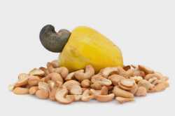 జీడిమామిడిపండు (CASHEW-FRUIT)
