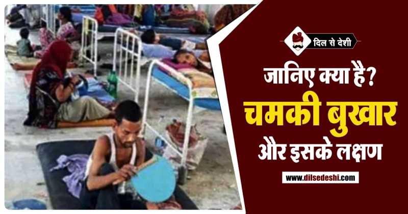 चमकी बुखार क्या हैं इसके लक्षण और बचने के उपाय | Chamki Fever Ke Lakshan Aur Bachav Ke Upay