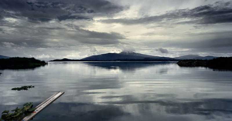 डस्ट इन द विंड / Dust In The Wind