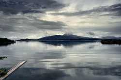 डस्ट इन द विंड / Dust in the wind