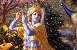 कृष्ण वेणु 