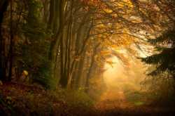 %e0%a4%a6%e0%a5%8b%e0%a4%b0%e0%a4%be%e0%a4%b9%e0%a5%87%e0%a4%82