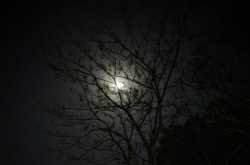 लाइट वाले जूते - Wanderer Wordweaver Woman