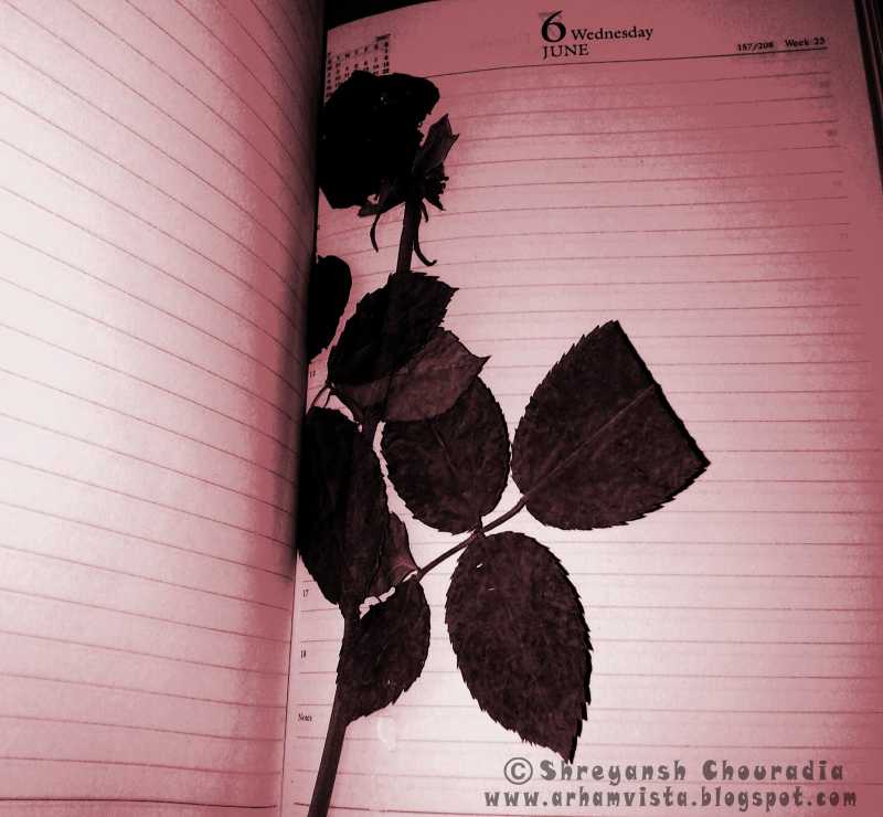 एक सुबह (EK SUBAH)