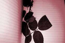 एक सुबह (EK SUBAH)