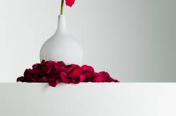 #Foodmarriage #Fatalambition