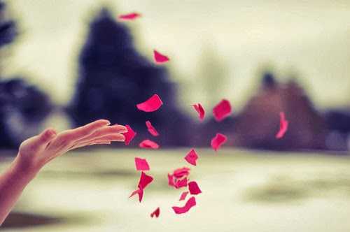  Frog & Pumpkin | Short Story | Part 3 