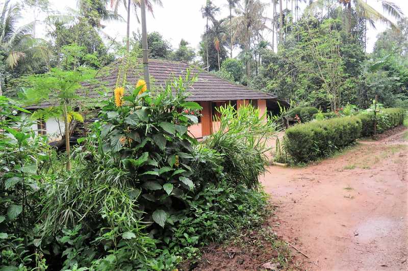 #HolidayDifferently With Sterling: 5 Unique Experiences With Sterling Wayanad