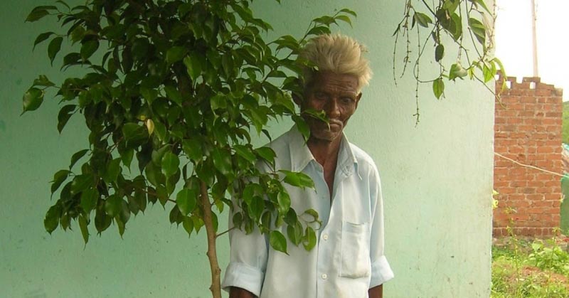 “தோட்டக்கலை சிகிச்சை” (Horticultural Therapy ) 