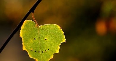 à¤à¤¹à¤¾à¤ à¤¹à¥à¤ à¤à¥à¤¶à¤¿à¤¯à¤¾à¤?  How To Be Happy