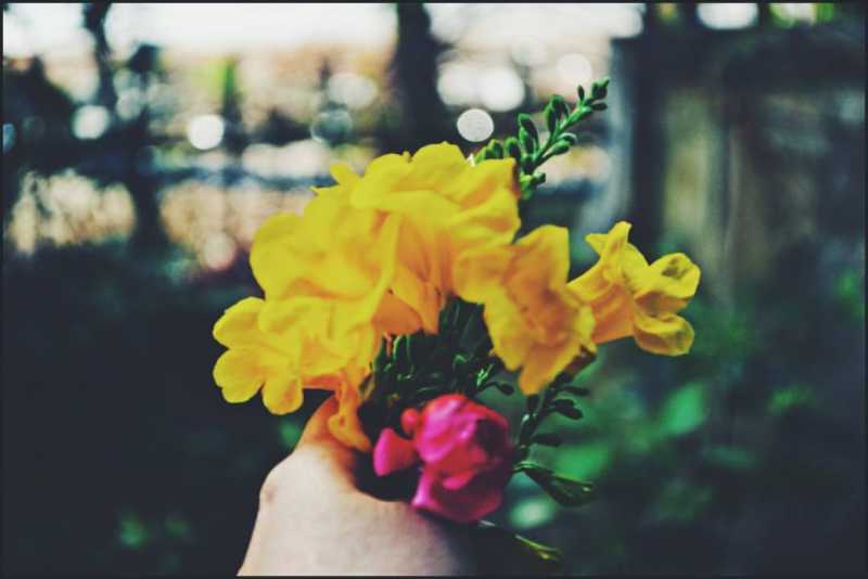  I Am Talking To Forget